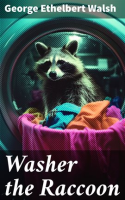 Washer_the_Raccoon
