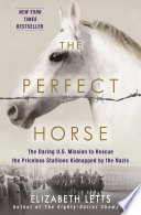 The_Perfect_Horse